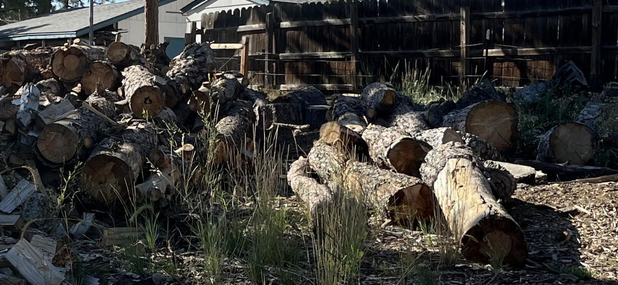 picture of pine logs